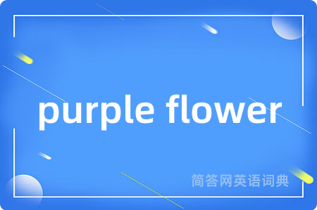 purple flower