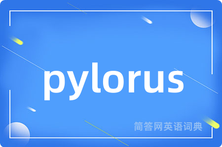 pylorus是什么意思,pylorus的中文翻译 pylorus