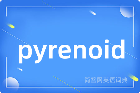 pyrenoid是什么意思,pyrenoid的中文翻译 pyrenoid