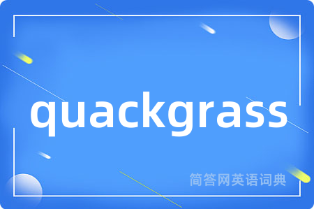 quackgrass