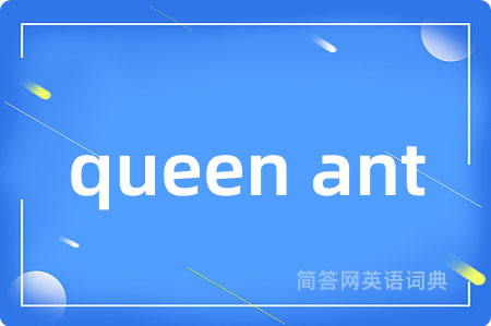queen ant是什么意思,queen ant的中文翻译 queen ant