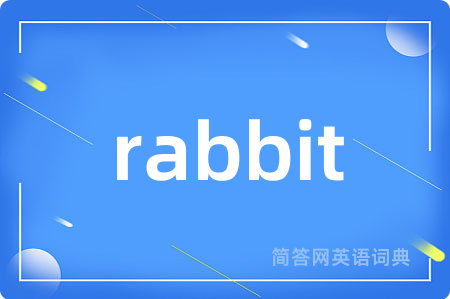 rabbit