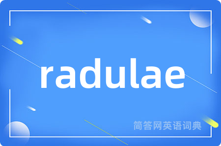 radulae