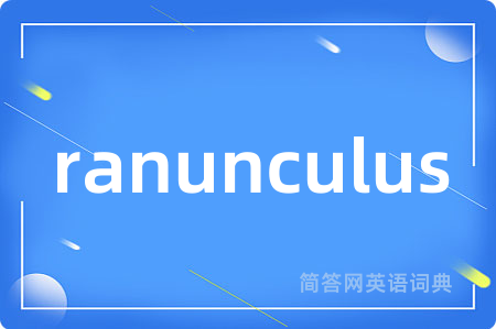 ranunculus