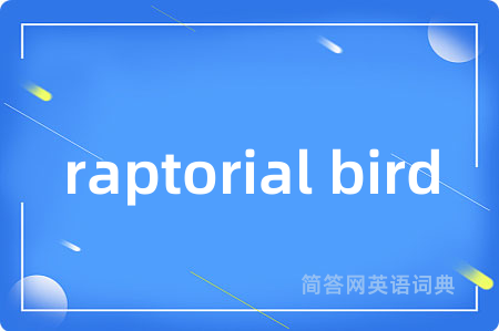 raptorial bird