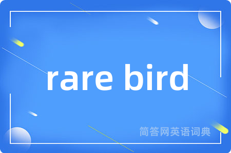 rare bird是什么意思,rare bird的中文翻译 rare bird