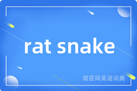rat snake
