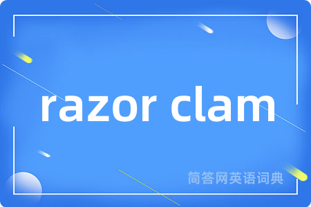 razor clam