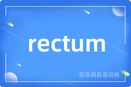 rectum是什么意思,rectum的中文翻译 rectum
