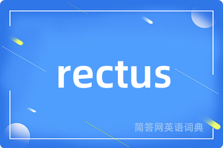 rectus