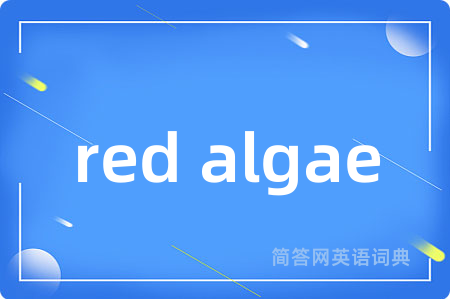 red algae