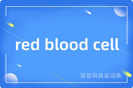 red blood cell