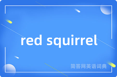 red squirrel