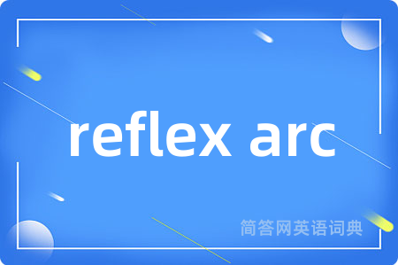 reflex arc