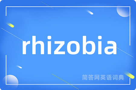 rhizobia