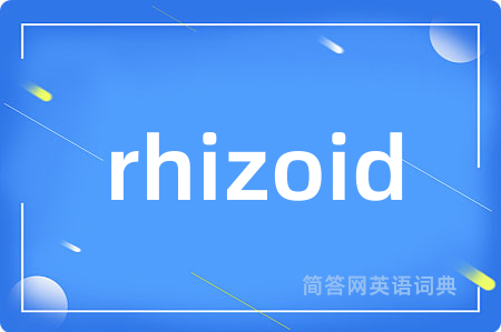 rhizoid