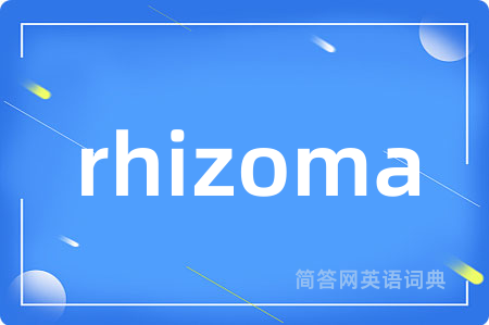 rhizoma