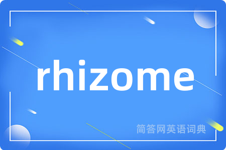 rhizome