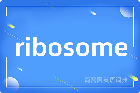 ribosome是什么意思,ribosome的中文翻译 ribosome