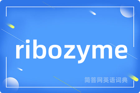 ribozyme