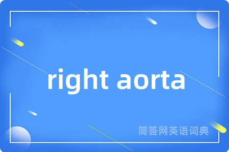 right aorta是什么意思,right aorta的中文翻译 right aorta