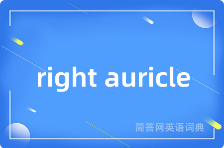 right auricle