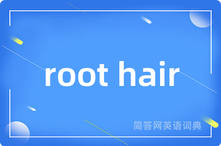 root hair