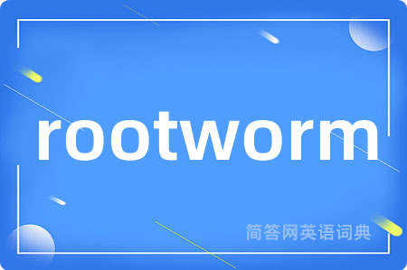 rootworm