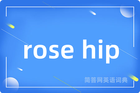 rose hip是什么意思,rose hip的中文翻译 rose hip