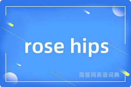 rose hips是什么意思,rose hips的中文翻译 rose hips