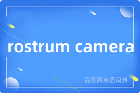 rostrum camera