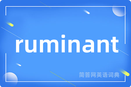 ruminant