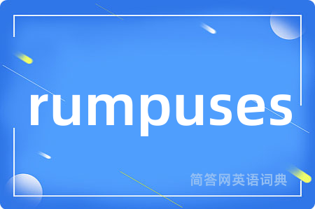 rumpuses是什么意思,rumpuses的中文翻译 rumpuses
