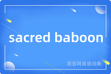 sacred baboon