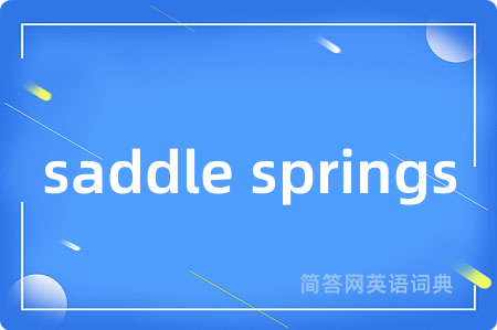 saddle springs