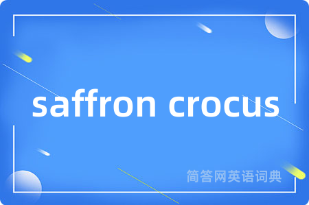 saffron crocus是什么意思,saffron crocus的中文翻译 saffron crocus
