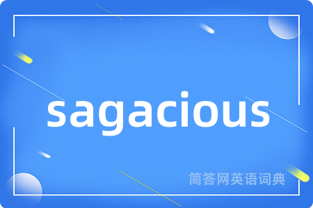 sagacious