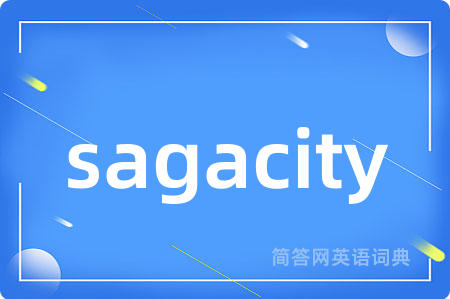 sagacity是什么意思,sagacity的中文翻译 sagacity