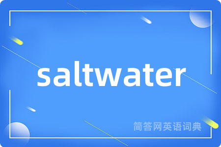 saltwater是什么意思,saltwater的中文翻译 saltwater