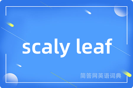 scaly leaf是什么意思,scaly leaf的中文翻译 scaly leaf