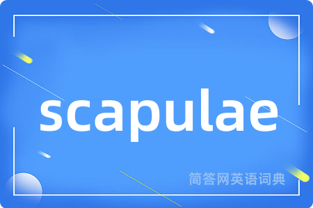 scapulae是什么意思,scapulae的中文翻译 scapulae