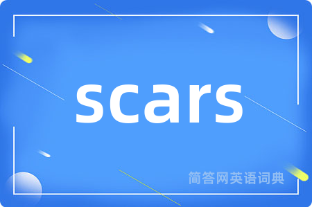 scars是什么意思,scars的中文翻译 scars