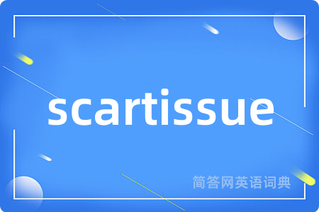 scartissue是什么意思,scartissue的中文翻译 scartissue