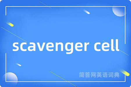 scavenger cell是什么意思,scavenger cell的中文翻译 scavenger cell