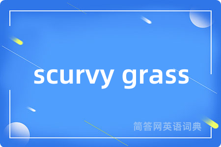 scurvy grass