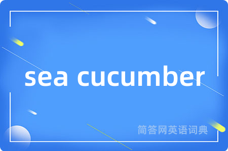 sea cucumber