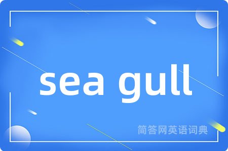 sea gull