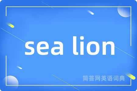 sea lion
