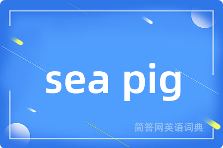 sea pig