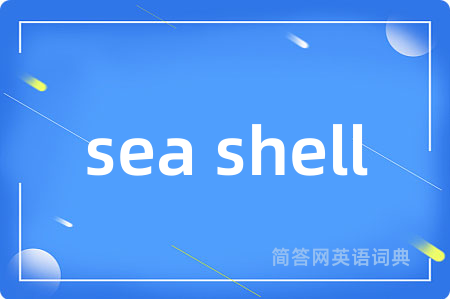 sea shell